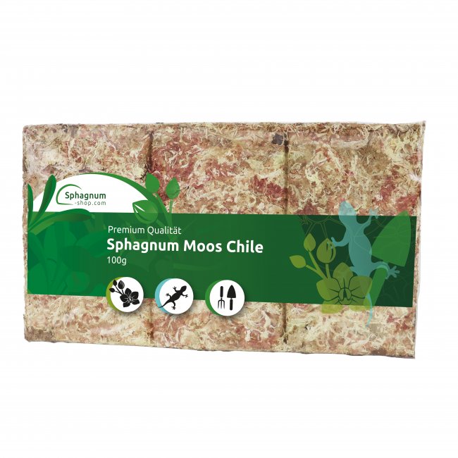Sphagnum Moos aus Chile Ziegel 100g